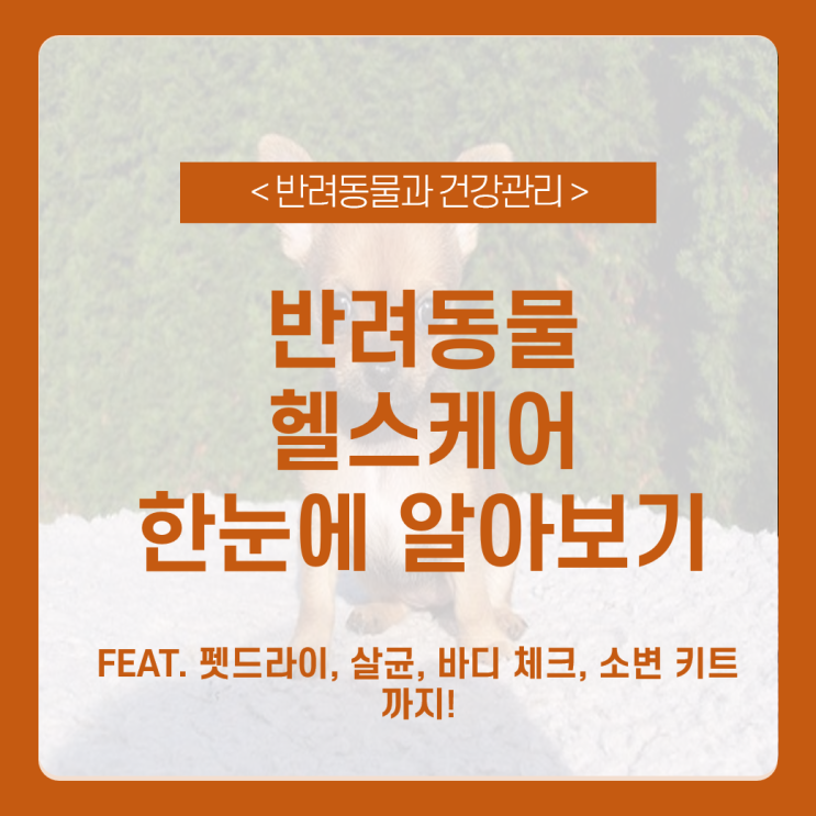  반려동물 건강관리 제품 총정리 _ 헬스케어, 펫드라이, 인공지능