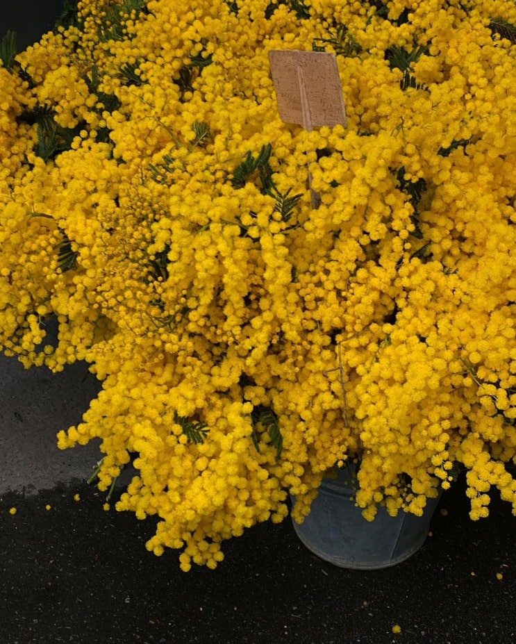  Spring is just around the corner