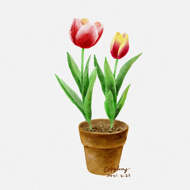  23일차- 튜울립 수채화 그림