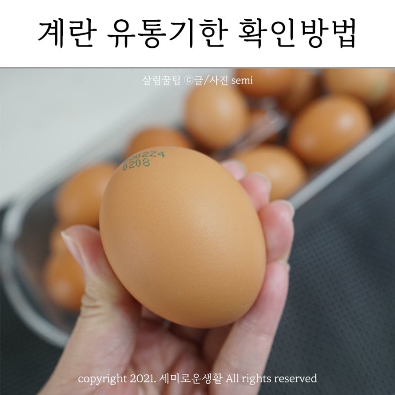 계란 유통기한 확인 방법 (상한 달걀 구별법) : 네이버 블로그 계란 유통기한 확인 방법 (상한 달걀 구별법) : 네이버 블로그