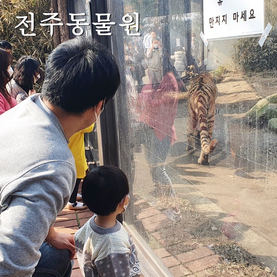  전주동물원 3살아이와 함께 전주 당일치기 기억에 오래남는 곳이에요.
