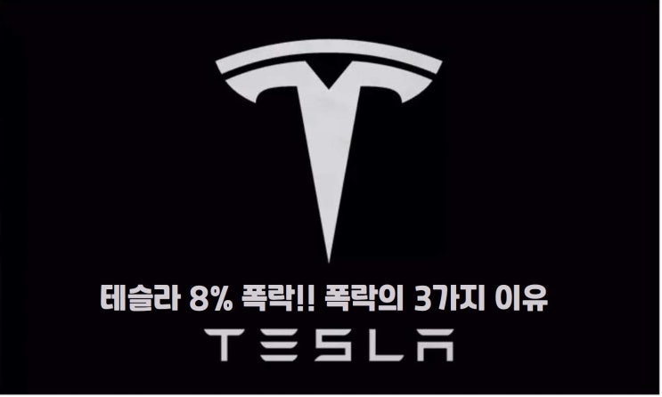  [주식꿀팁25] 테슬라 8%대 폭락의 3가지 이유와 계좌공개!!