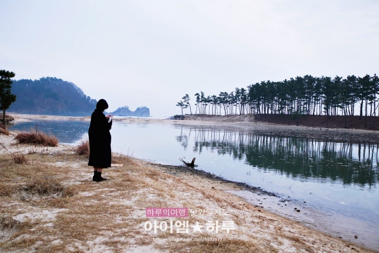 가족여행 추억 담고 온 태안 여행 코스