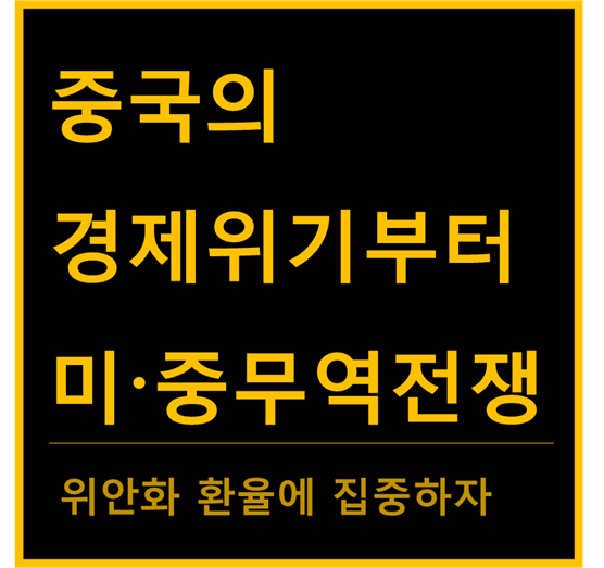  중국의 경제위기부터 미중 무역전쟁까지 (1)