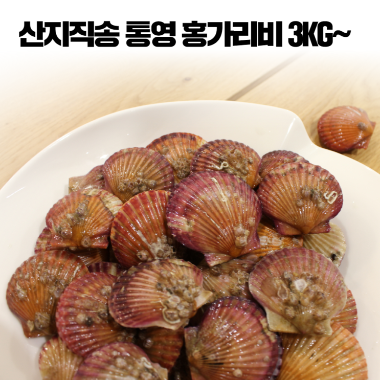 인기있는 삼시세끼연구소 통영 홍 가리비 세척 햇가리비 조개구이 가리비찜 제철 해산물 3kg 4kg 5kg, 통영 홍가리비 3kg 추천합니다 인기있는 삼시세끼연구소 통영 홍 가리비 세척 햇가리비 조개구이 가리비찜 제철 해산물 3kg 4kg 5kg, 통영 홍가리비 3kg 추천합니다