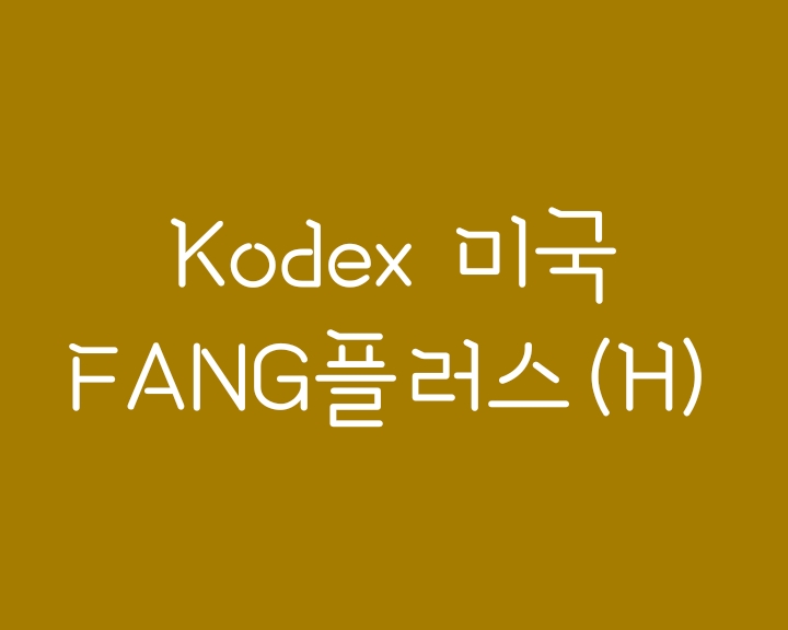 미국 대표주식에 투자하는 KODEX 미국FANG플러스(H) ETF 미국 대표주식에 투자하는 KODEX 미국FANG플러스(H) ETF