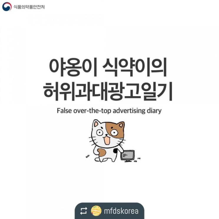  허위과대광고