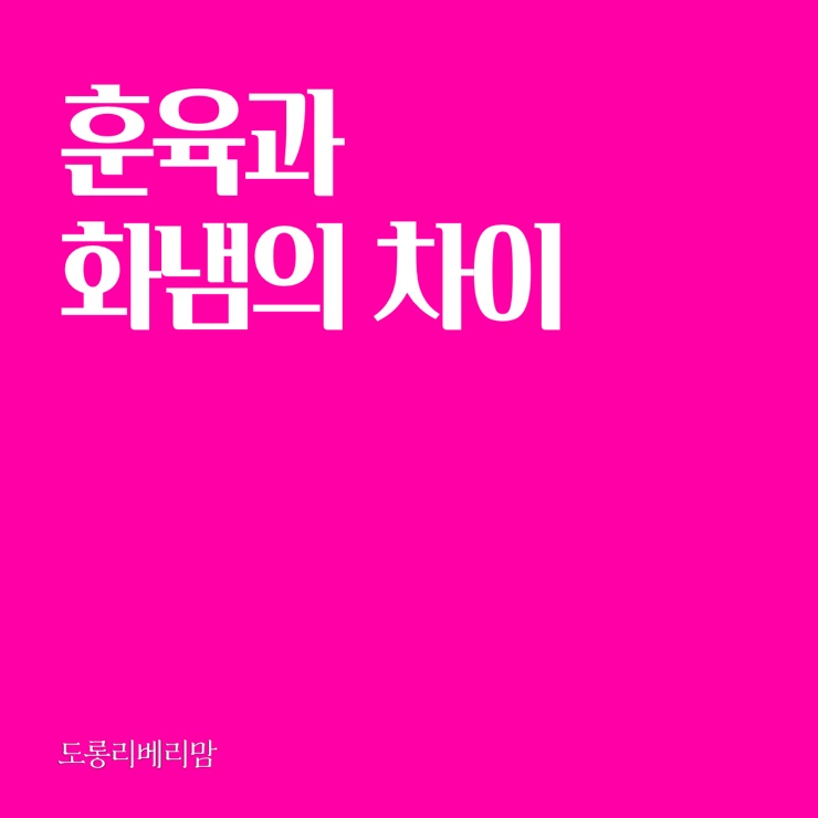  훈육과 화냄의 차이