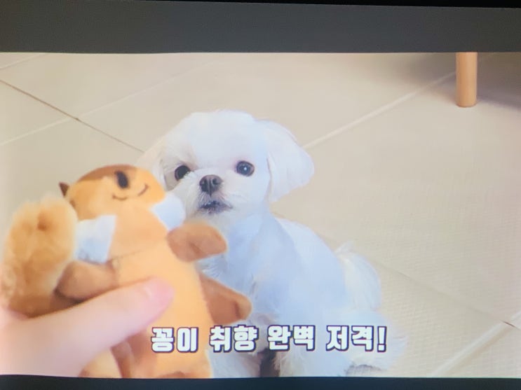  성북동 실용음악학원 강의용빔프로젝터 스크린 설치