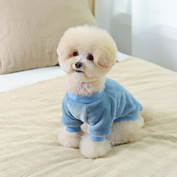 의외로 인기있는 펫츠랜드 강아지 마카롱 밍크 티셔츠, 블루(로켓배송) ···