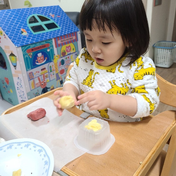  풀무원 토이쿠키만들기(내돈내산)