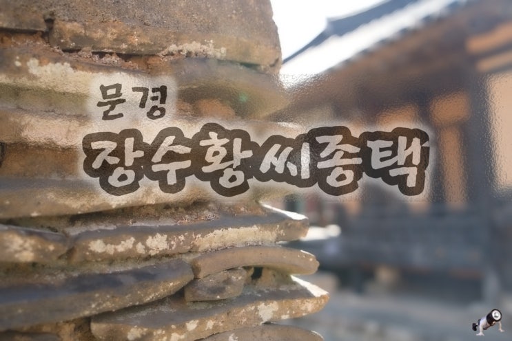  문경 여행지 추천 장수황씨 종택과 400년된  탱자나무