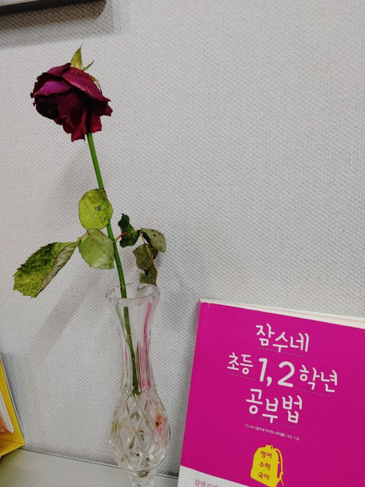  [책리뷰] 잠수네 초등 1,2학년 공부법