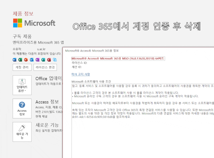  대학생 마이크로소프트 오피스 365 라이센스로 MS Office 2016 정품인증하기 (For 컴활 실기)