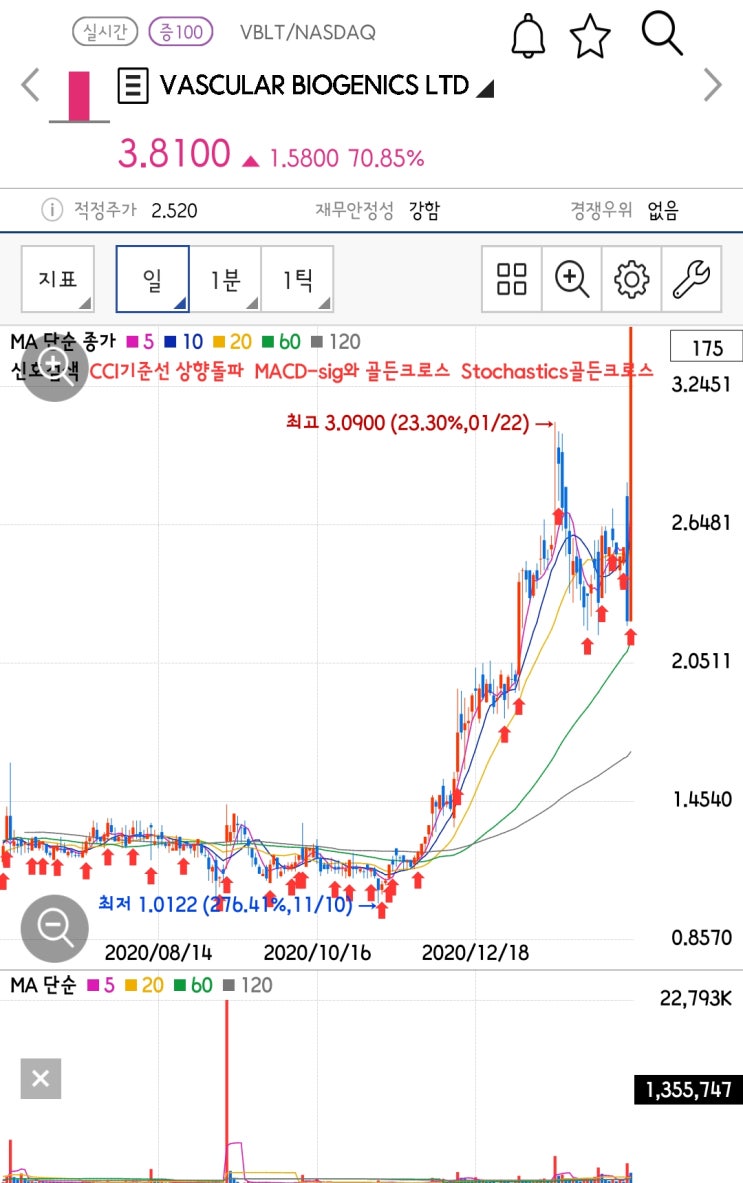  [미국주식 구경하기] 암치료 바이오주 VASCULAR BIOCENICS LTD(VBLT)
