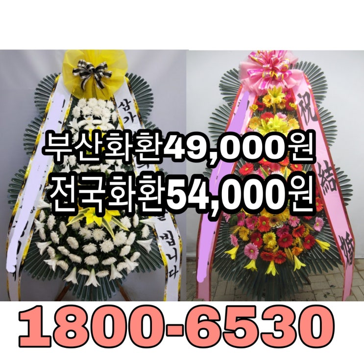  테크노마트 웨딩시티화환배달  축하화환문구 결혼식화환주문 간편주문 화환보내기 가격비교 최저가 오만원대 믿으세요 고속플라워1800-6530