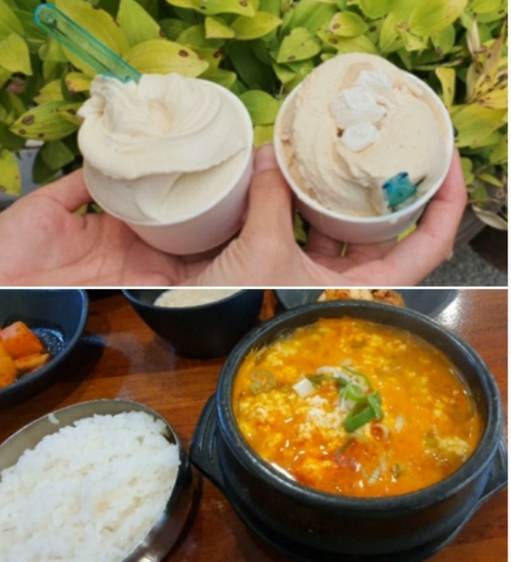  강릉당일치기 순두부찌개 & 순두부 아이스크림