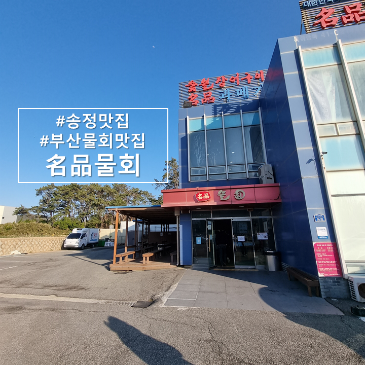  부산에서 최고 물회 맛집 "명품물회"