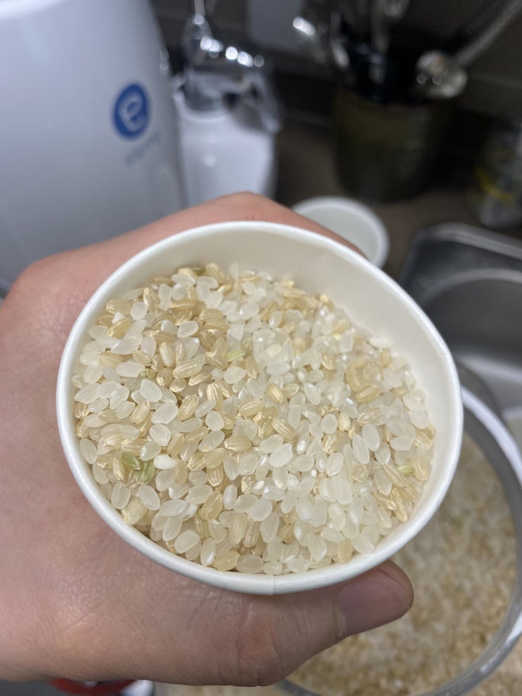  백진주쌀 너무 맛있고~ 현미밥 맛있게 짓는 법도 공유합니당(+쿠쿠전자 2인용 밥솥)