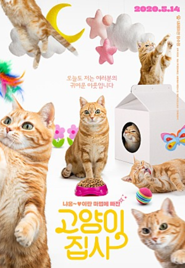  [넷플 추천] 고양이 집사 - 길고양이들과 따뜻한 분들+ 임수정 내레이션