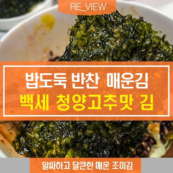 청양고추맛김 밥 반찬 추천 김 (feat. 밥도둑 매운김 조미김 )