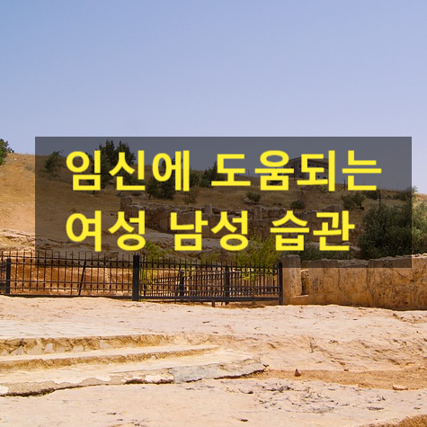  임신에 도움 되는 좋은 습관 갖기
