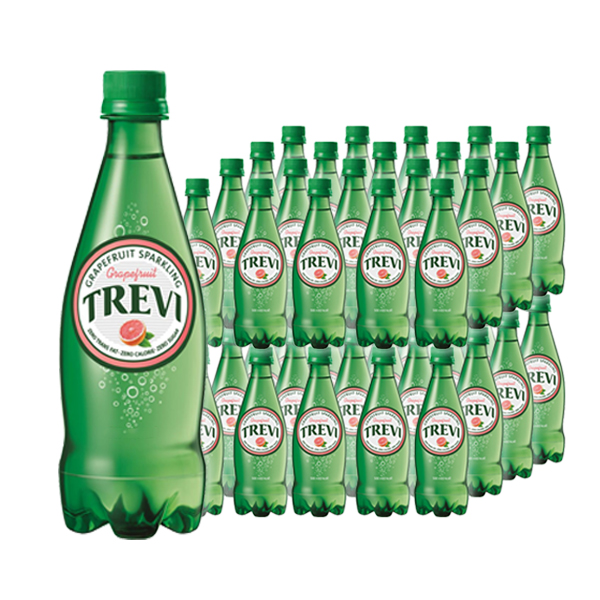잘팔리는 롯데칠성음료 트레비 자몽, 300ml, 40개 추천해요 잘팔리는 롯데칠성음료 트레비 자몽, 300ml, 40개 추천해요