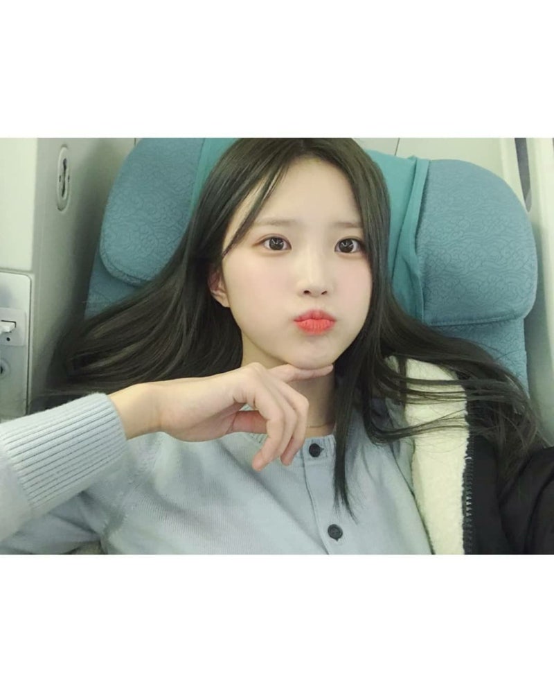 입덕 아이돌 찾기) 프로미스나인 송하영: 프나의 귀여운 모찌, 말바보 리드보컬, 의외의 만능....