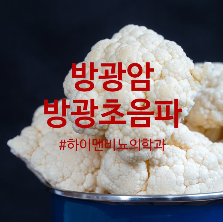  혈뇨로 내원한 환자 방광 초음파로 방광암 진단