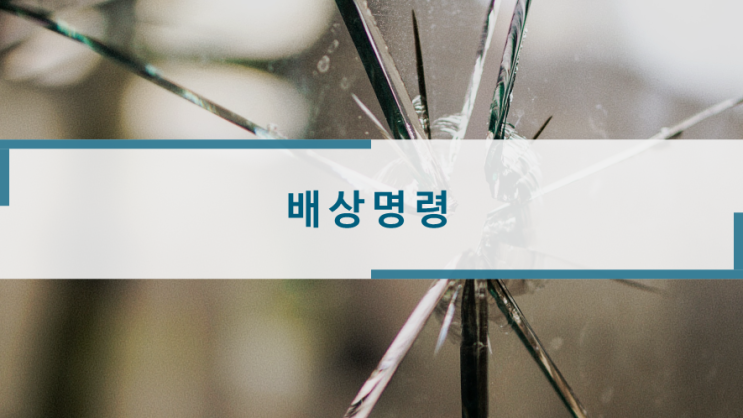  배상명령