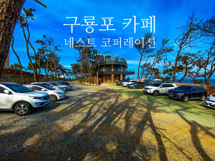 구룡포 카페 : 네스트 코퍼레이션