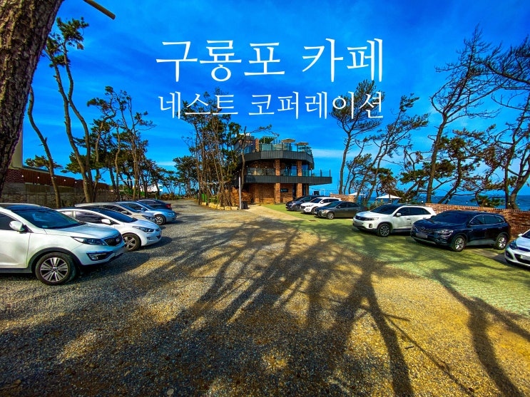  구룡포 카페 : 네스트 코퍼레이션