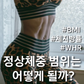  BMI, 체지방률, WHR을 통해 비만도 확인하는 방법