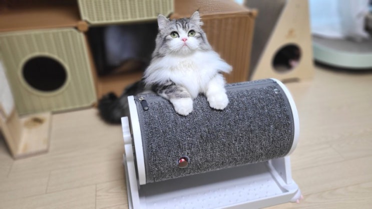 3박자 골고루 갖춘 고양이가 좋아하는 스트레스 해소템 엘리샤펫 냥냥스핀 스크래쳐를 소개해요.