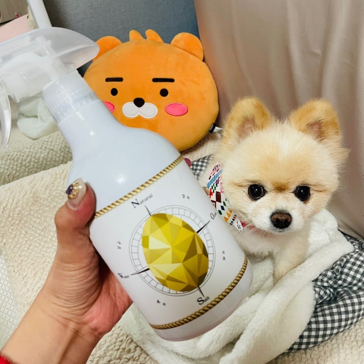  [수원펫쇼] 애견탈취제 오줌냄새에는 꼬망세에그 탈취제로!