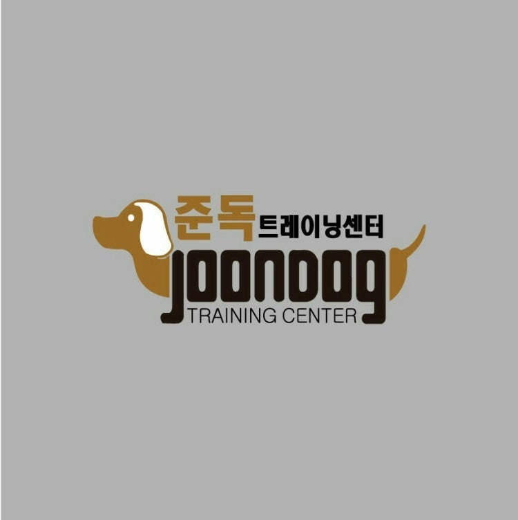 사진 2