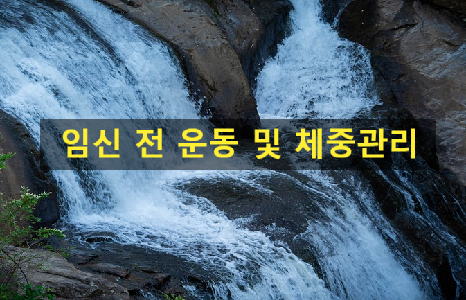  임신하기 전 운동 및 체중 비만 관리