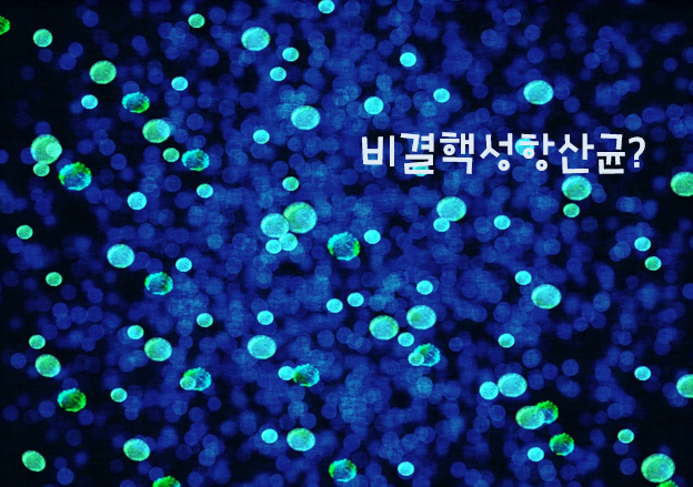  비결핵성항산균은 결핵일까요?