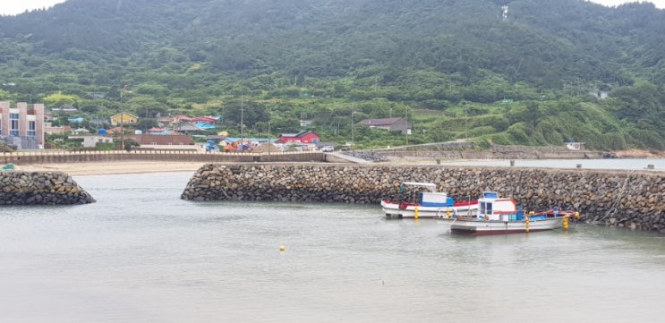  여수가볼만한곳/손죽도/여수여행/남해가족여행