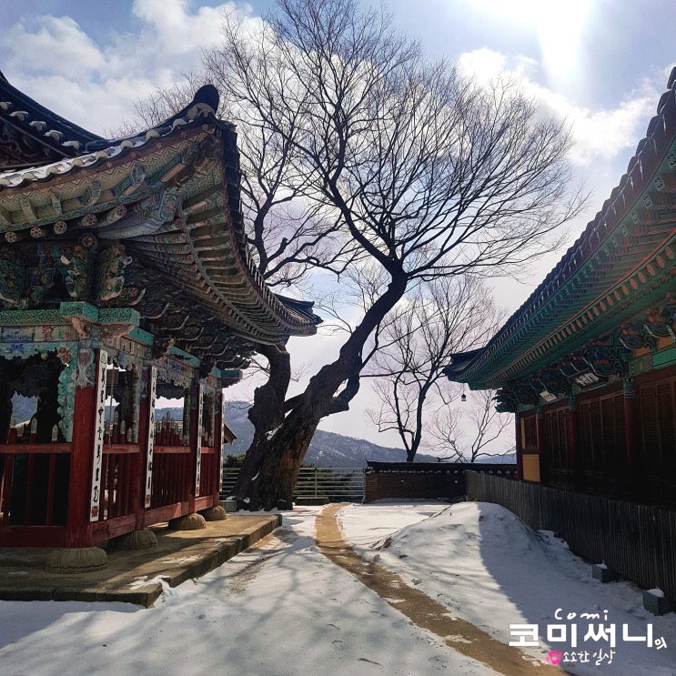 충남 예산 가볼 만한 곳 예산 수덕사 예산 여행 추천지 충남 예산 가볼 만한 곳 예산 수덕사 예산 여행 추천지