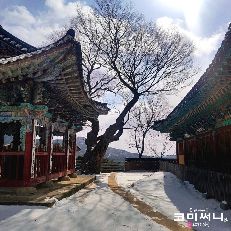 충남 예산 가볼 만한 곳 예산 수덕사 예산 여행 추천지