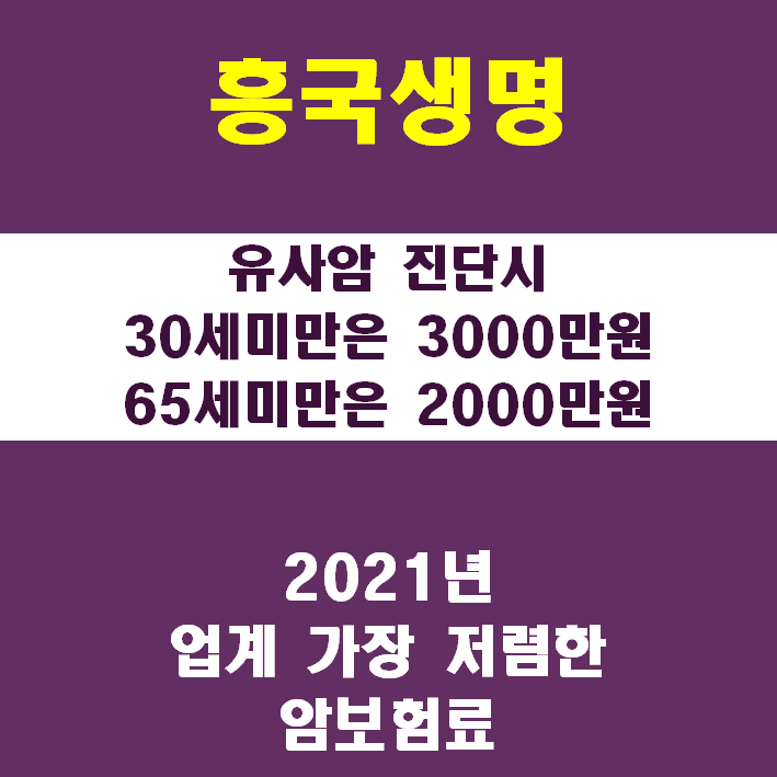 [이슈보험]흥국생명 다사랑통합보험 암진단플랜에 대해 제대로 알아보자!