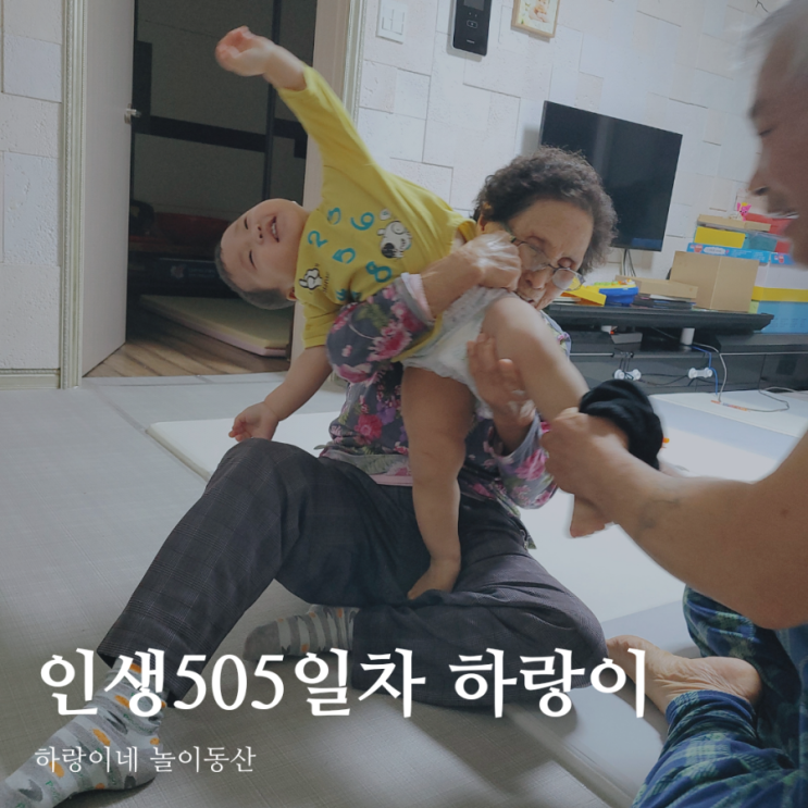 인생505일차 아들 육아일기, 16개월 성장발달