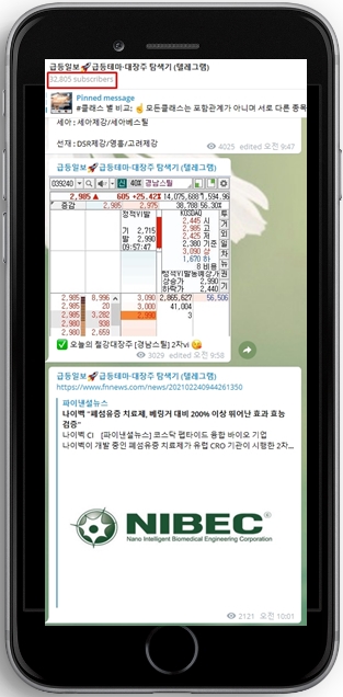 나이벡 급등! '200% 효과' 뭐길래...... 나이벡 급등! '200% 효과' 뭐길래......