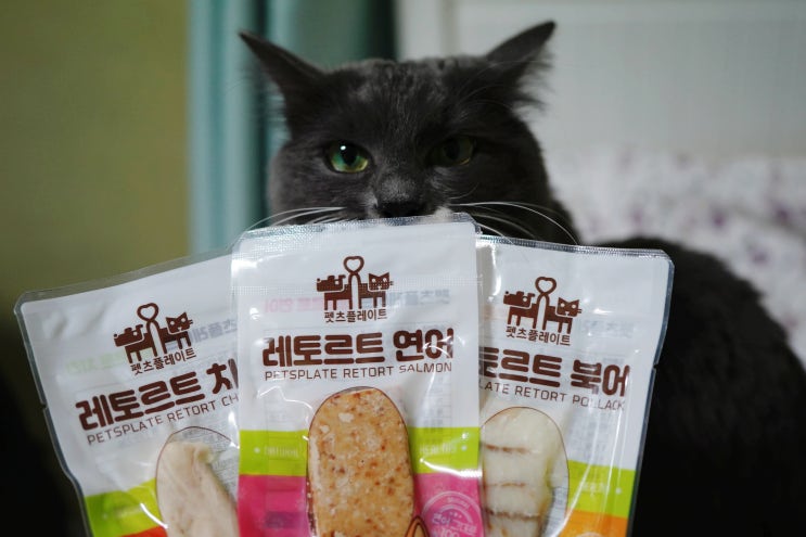  펫츠플레이트 레토르트 고양이순살간식 기호성 좋다냥~