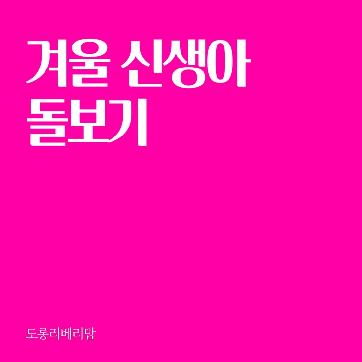  겨울 신생아 돌보기