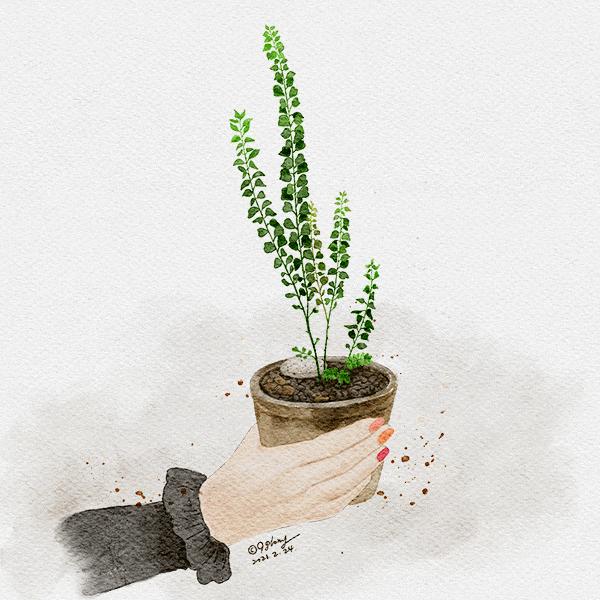  24일차-  식물화분그림/아이패드 프로크리에이트 수채화