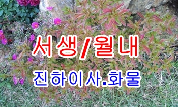 진하용달 월내 장안 길천.