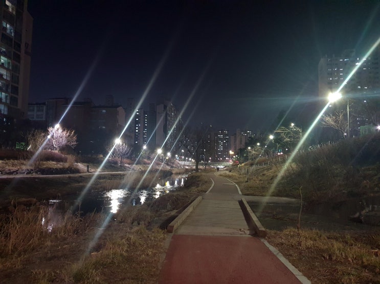  야경이 아름다운 생태 하천 서호천 산책길을 걸어 보았다.