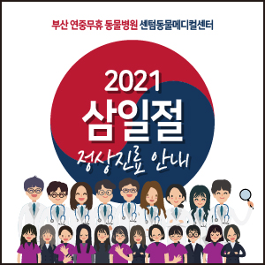 2021년 3월 1일 (월) 삼일절 정상진료 안내 (부산 빨간날 공휴일 야간 동물병원)